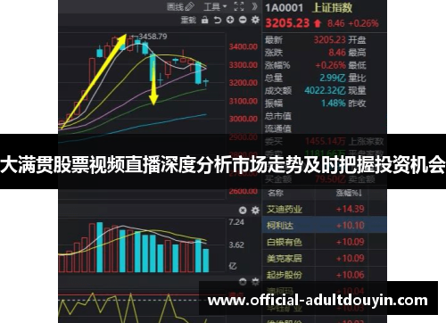 大满贯股票视频直播深度分析市场走势及时把握投资机会